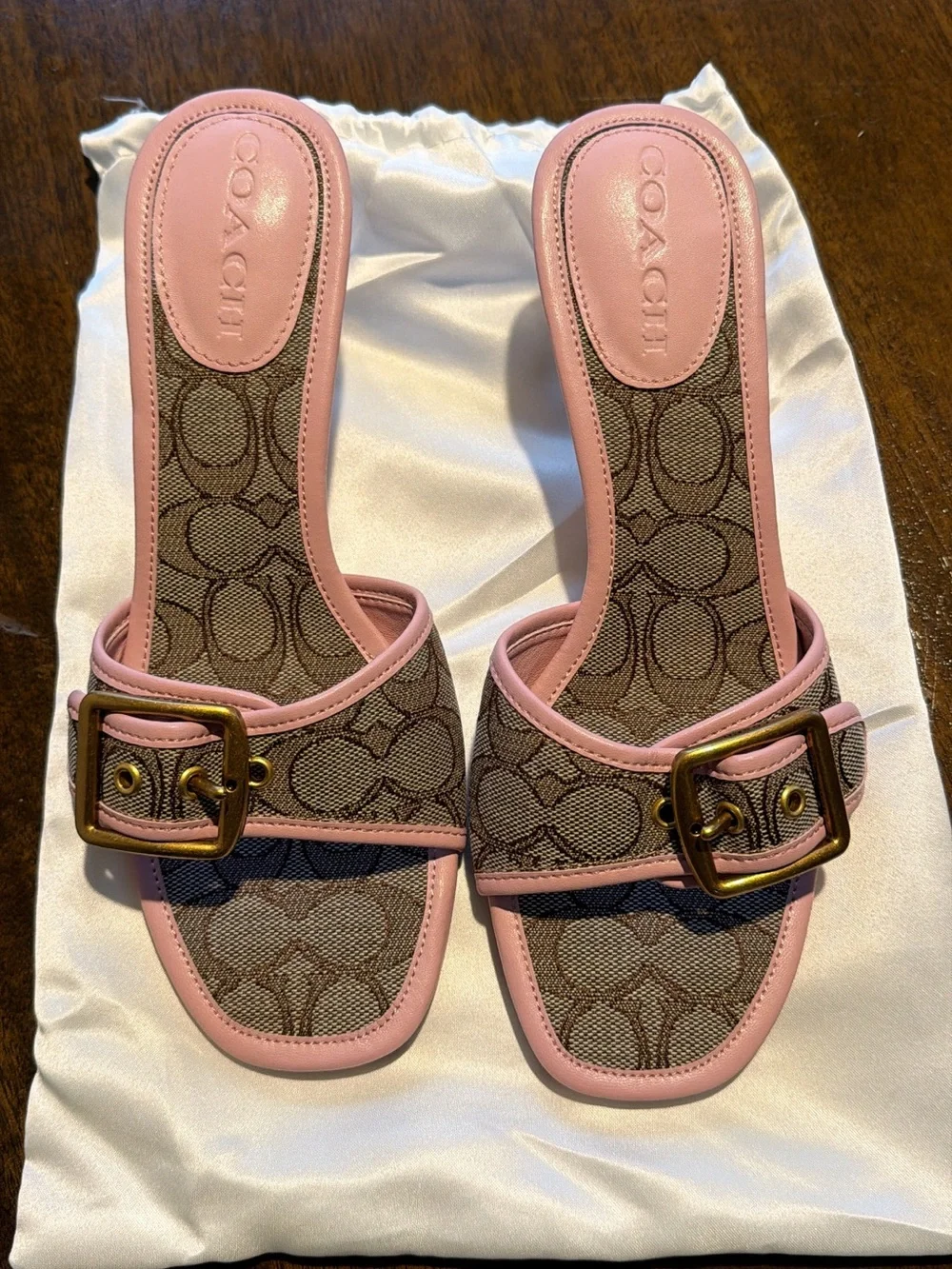 Coach Buckle Sandals